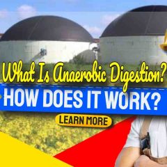Image text: "What is anaerobic digestion and How Does It Work?".